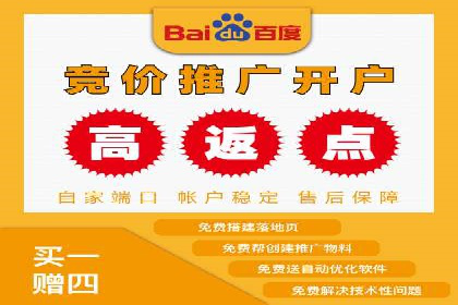 百度SEO推广案例解析与效果评估